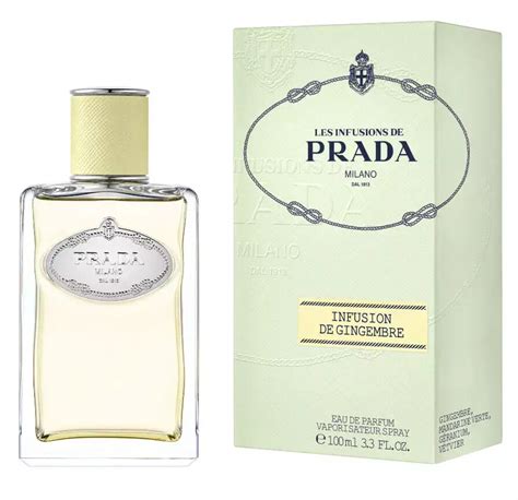 prada infusion de gingembre|Prada ginger perfume.